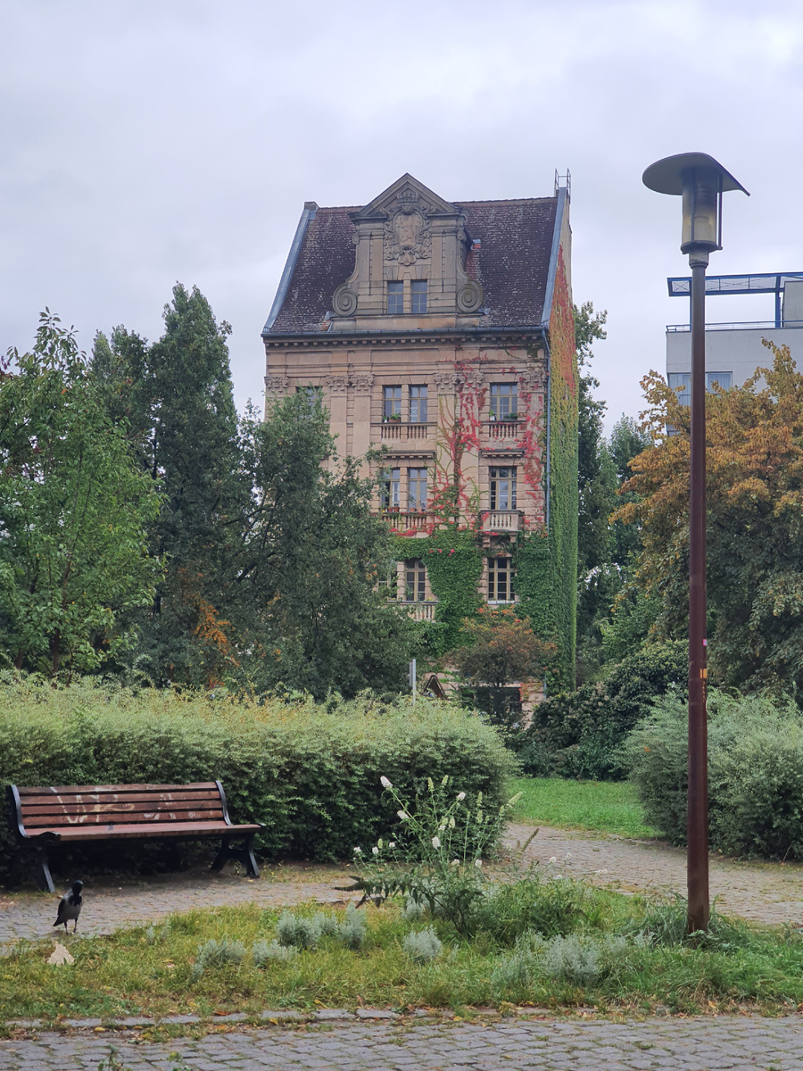 Одинокий, но не заброшенный