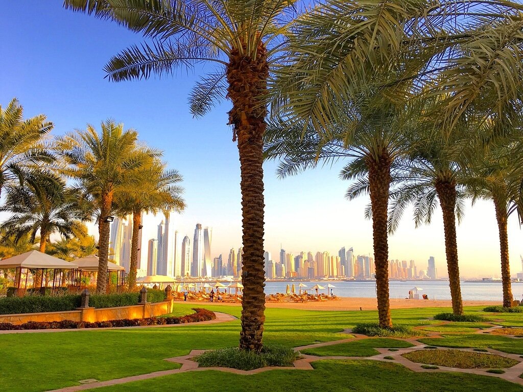 ОАЭ — пустыня, но в Дубае много зелени благодаря системам опреснения солёной воды Персидского залива и подземным оросительным системам. Автор: Vangelis Kovu