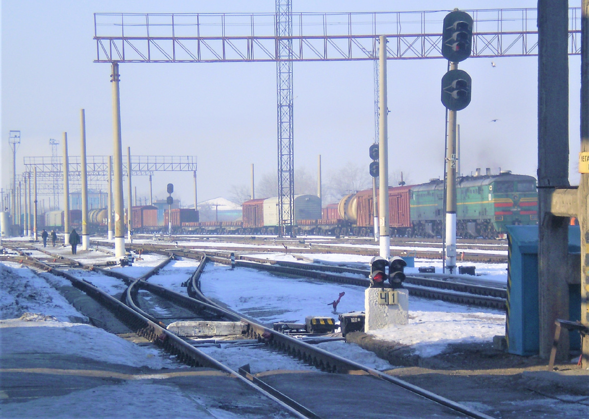 Фото: АПК Новости