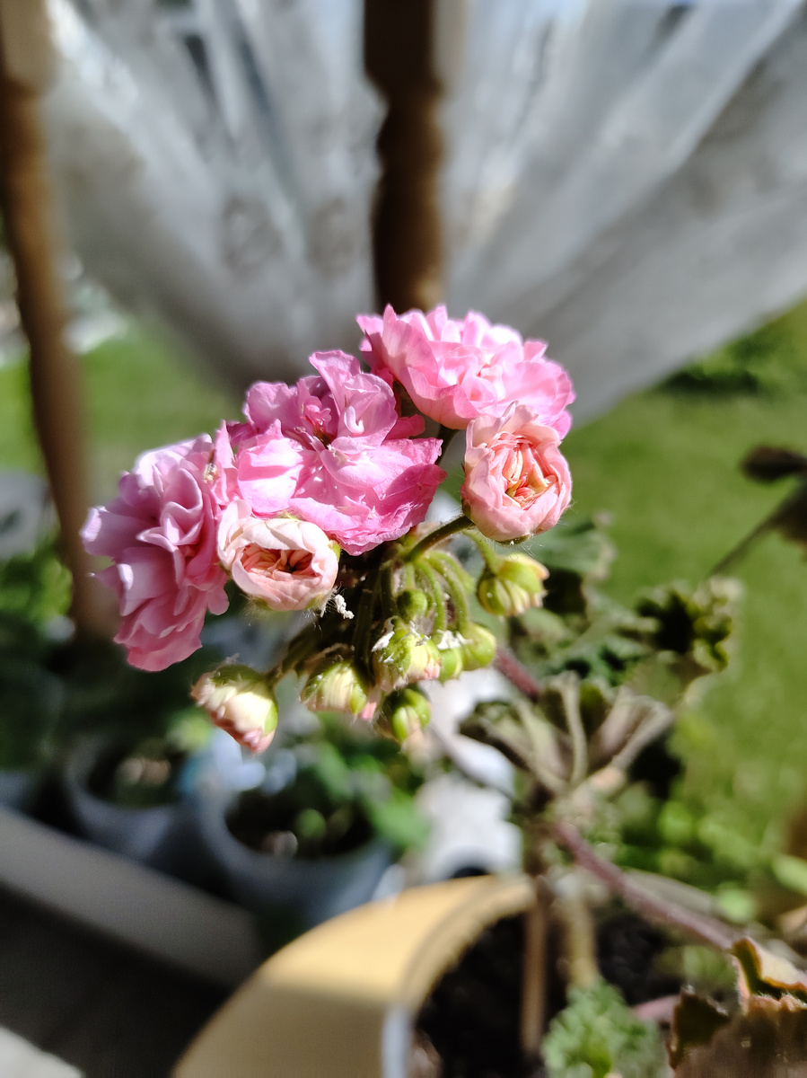 Купидон 28.06.2024