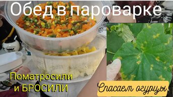 Обед в ПАРОВАРКЕ🥣 Спасаем ОГУРЦЫ 🥒Поматросили и БРОСИЛИ😔