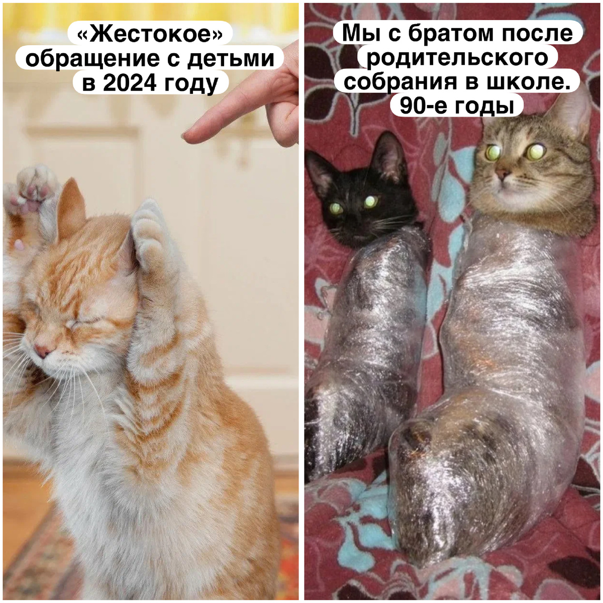 Мы купались в грязных речках, ели гудрон, лазили по подвалам и поэтому нас не берет никакая зараза и ничто не способно испугать  