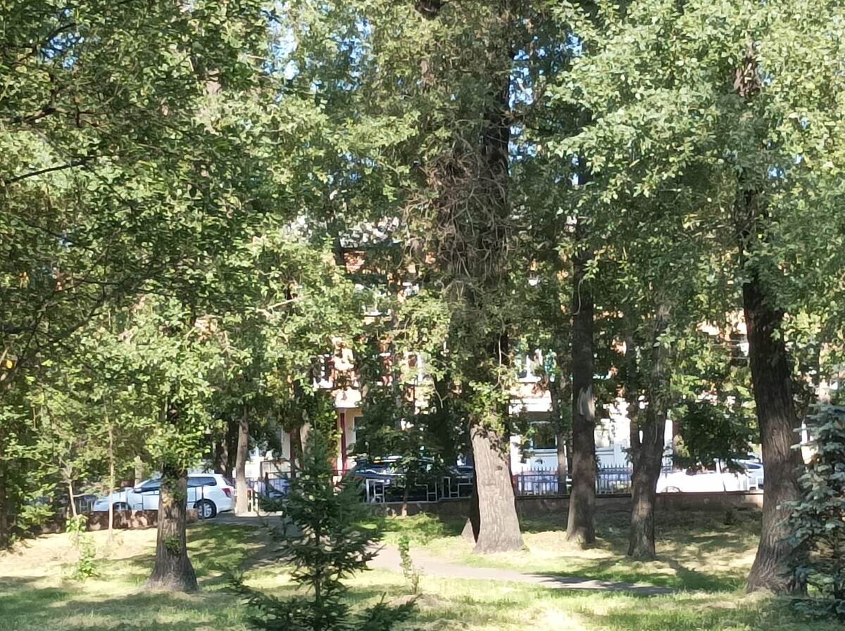 Вид на школу из парка. Фото сделано 28 июня 2024