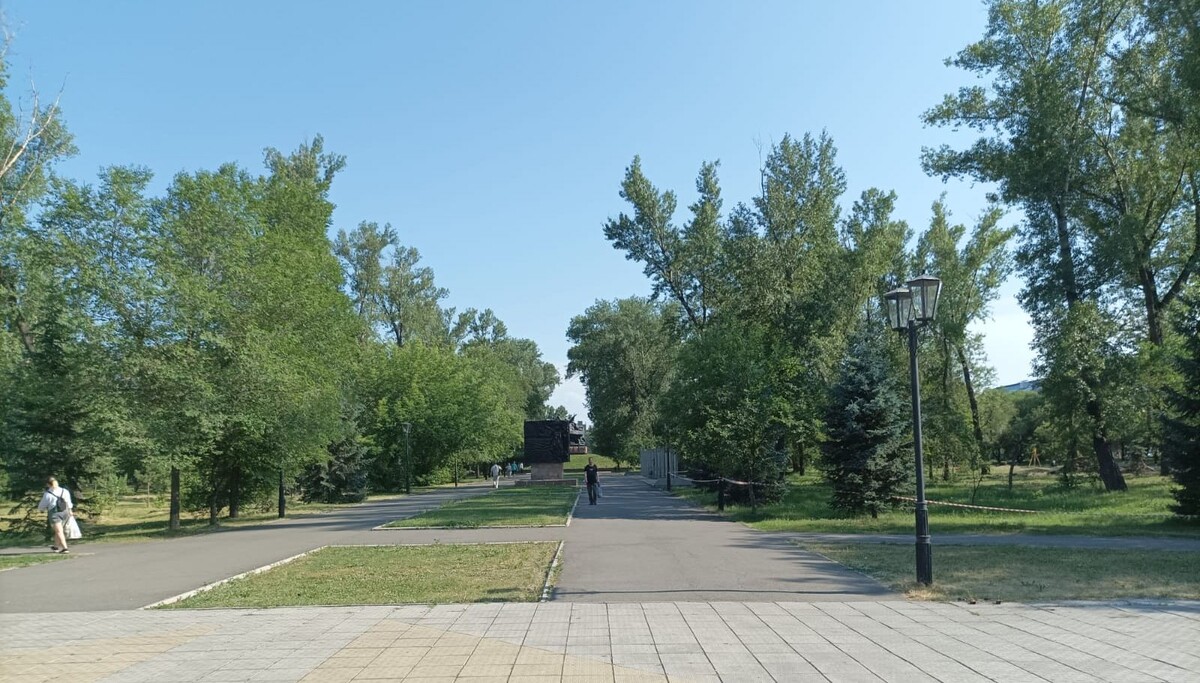 Так выглядит парк летом 2024 года