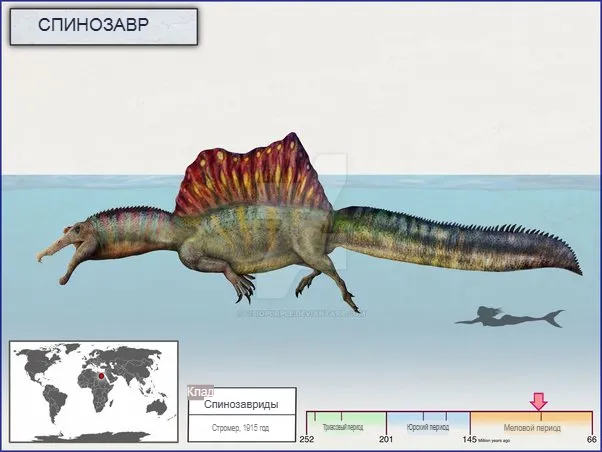 Спинозавр был самым крупным известным плотоядным тероподом длиной 15–16 метров, высотой 2,9–3,1 метра и весом более 6000 кг. По мнению ученых, спинозавр – первый известный водный динозавр.-2