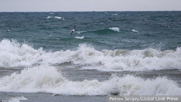     Фото: Petrov Sergey/Global Look Press   
 Текст: Антон Антонов