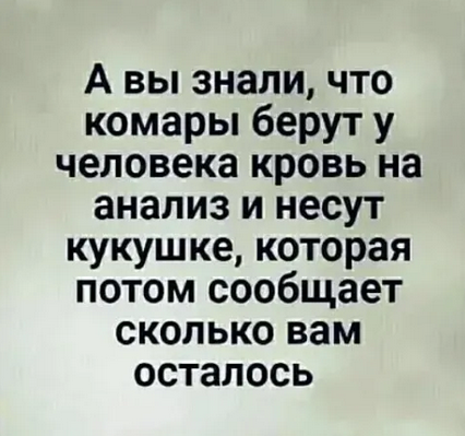 - И то. Просыпается пацан. Это он сам потом рассказывал, - засмеялся Юрка. – Помню, говорит, что заснул на берегу.-2