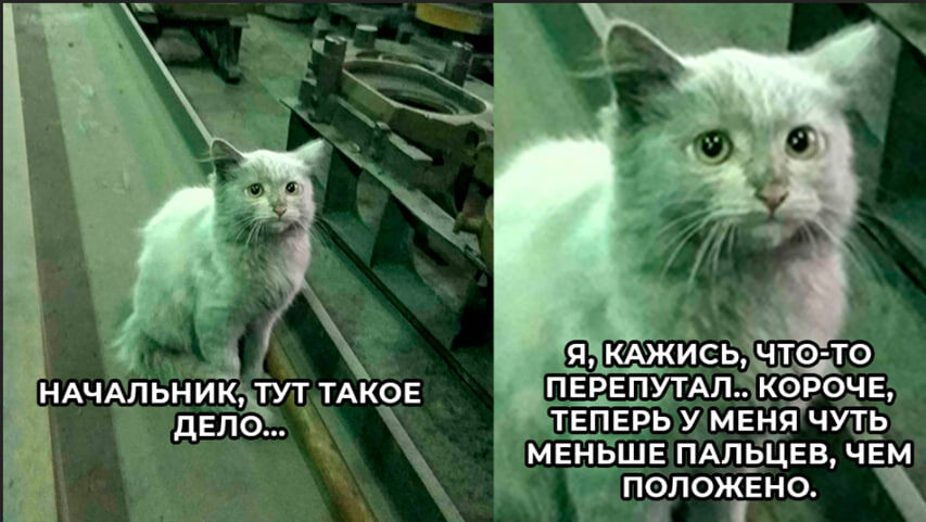 Вы же не хотите, чтобы в один прекрасный день ваш любимый слесарь МСР сказал такие слова?