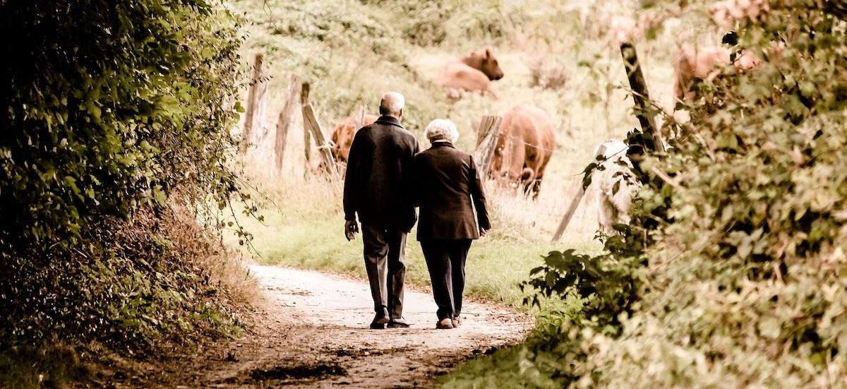 Фото из свободного доступа в интернете 