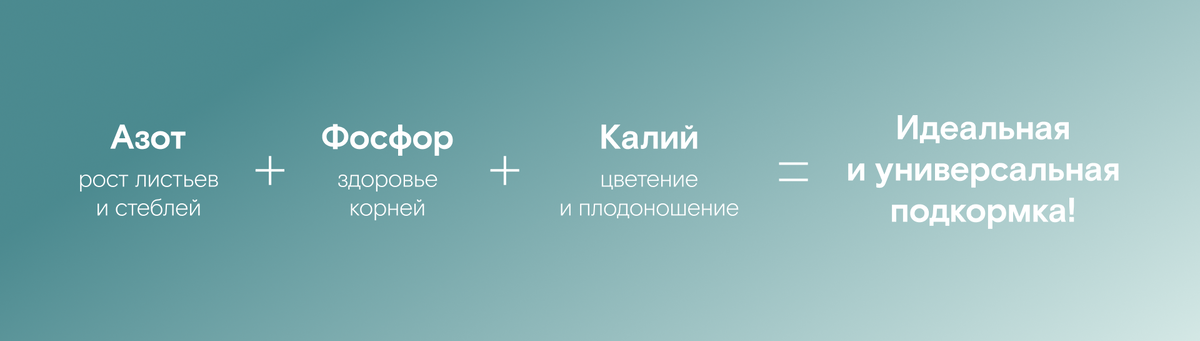 Помните, как было здорово проснуться летом у бабушки в деревне, выйти в сад или огород, чтобы собрать зелень к завтраку, а по пути к дому насладиться ароматами пионов и красотой маков… Думаете, что...-2