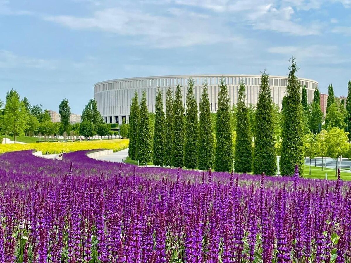 В парке Галицкого (Краснодар). Источник: vk.com/park_galitskogo