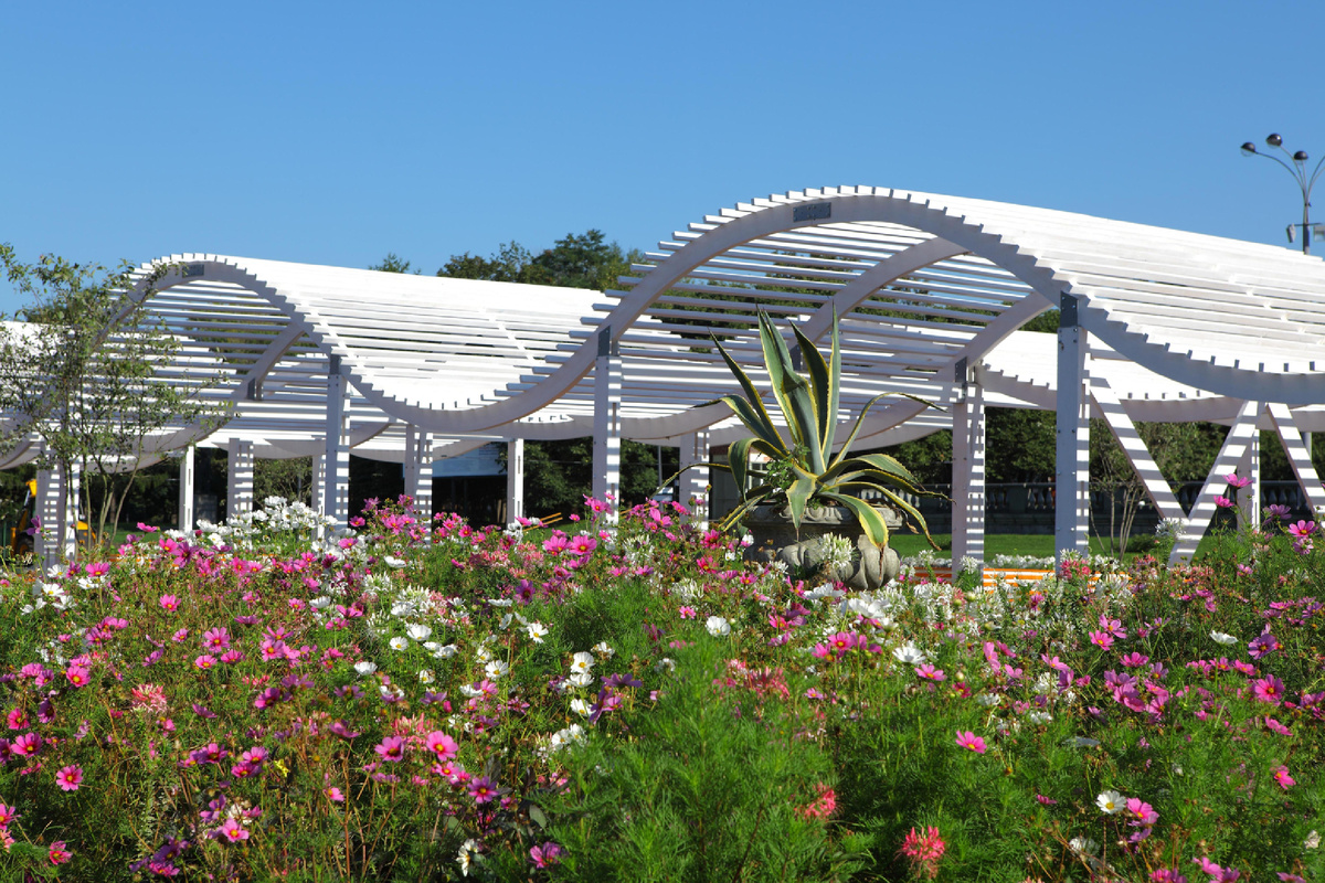 Пергола на Фонтанной площади в Парке Горького (Москва) не противопоставлена природным компонентам пространства, а органично их дополняет. Источник: Парк Горького
