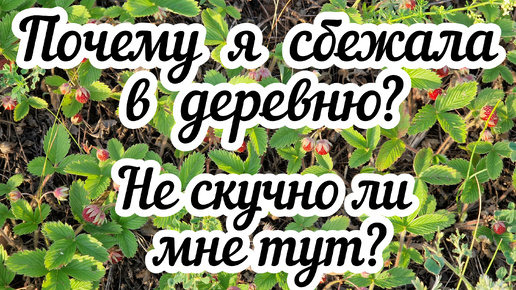 Почему я сбежала в деревню? Не скучно ли мне тут? В чем польза одиночества? (АУДИОПОДКАСТ)