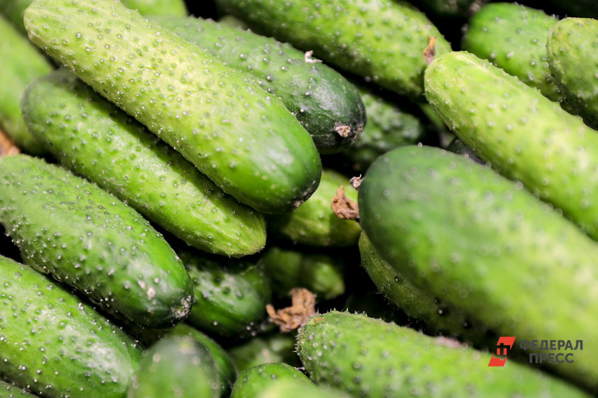 Огурцы, картофель и вареная колбаса прибавили в цене.  Фото: ФедералПресс / Евгений Поторочин