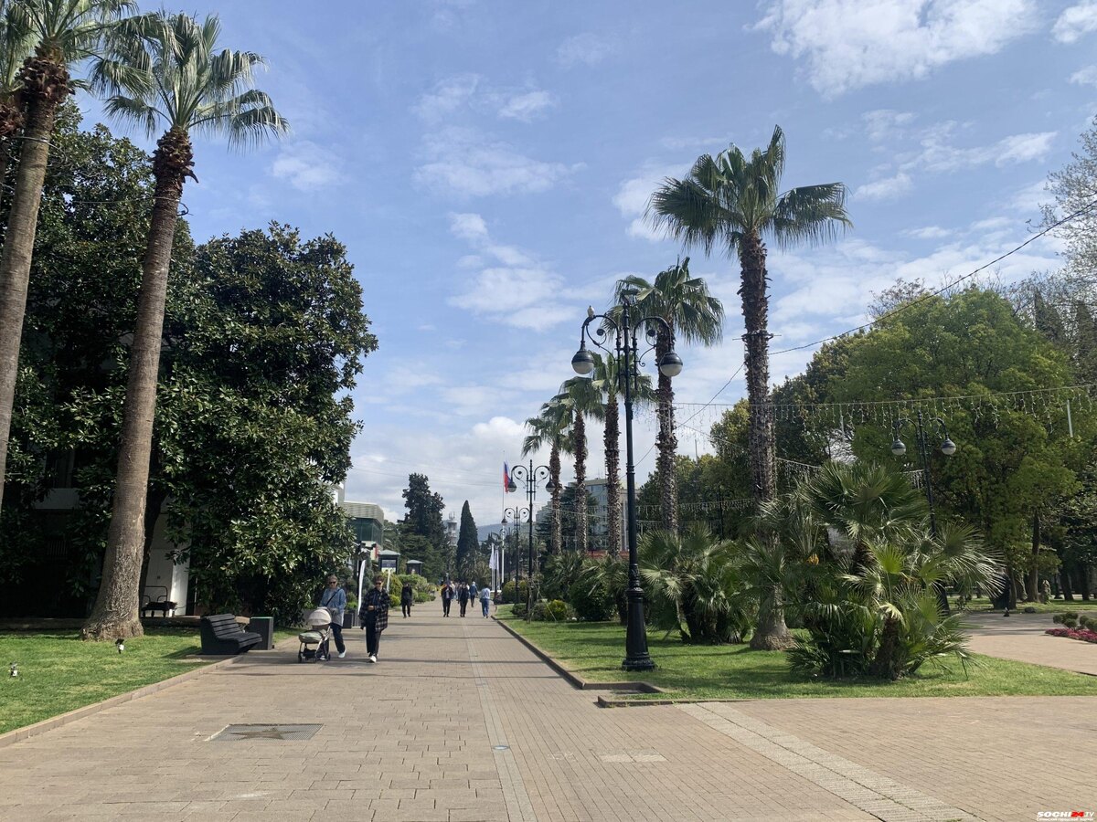    фото: Сочи 24