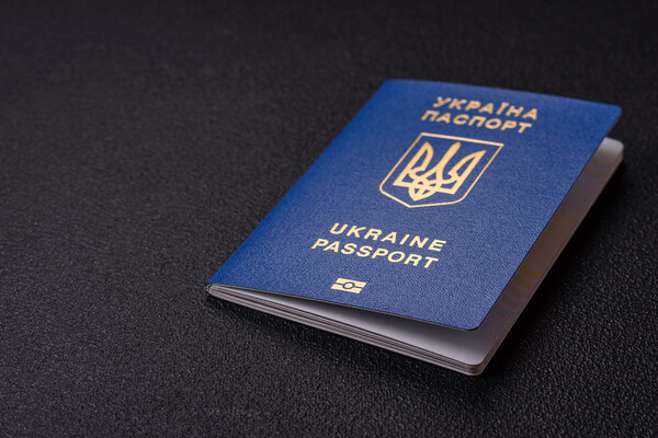 Tetiana Chernykova/Shutterstock/FOTODOM   📷