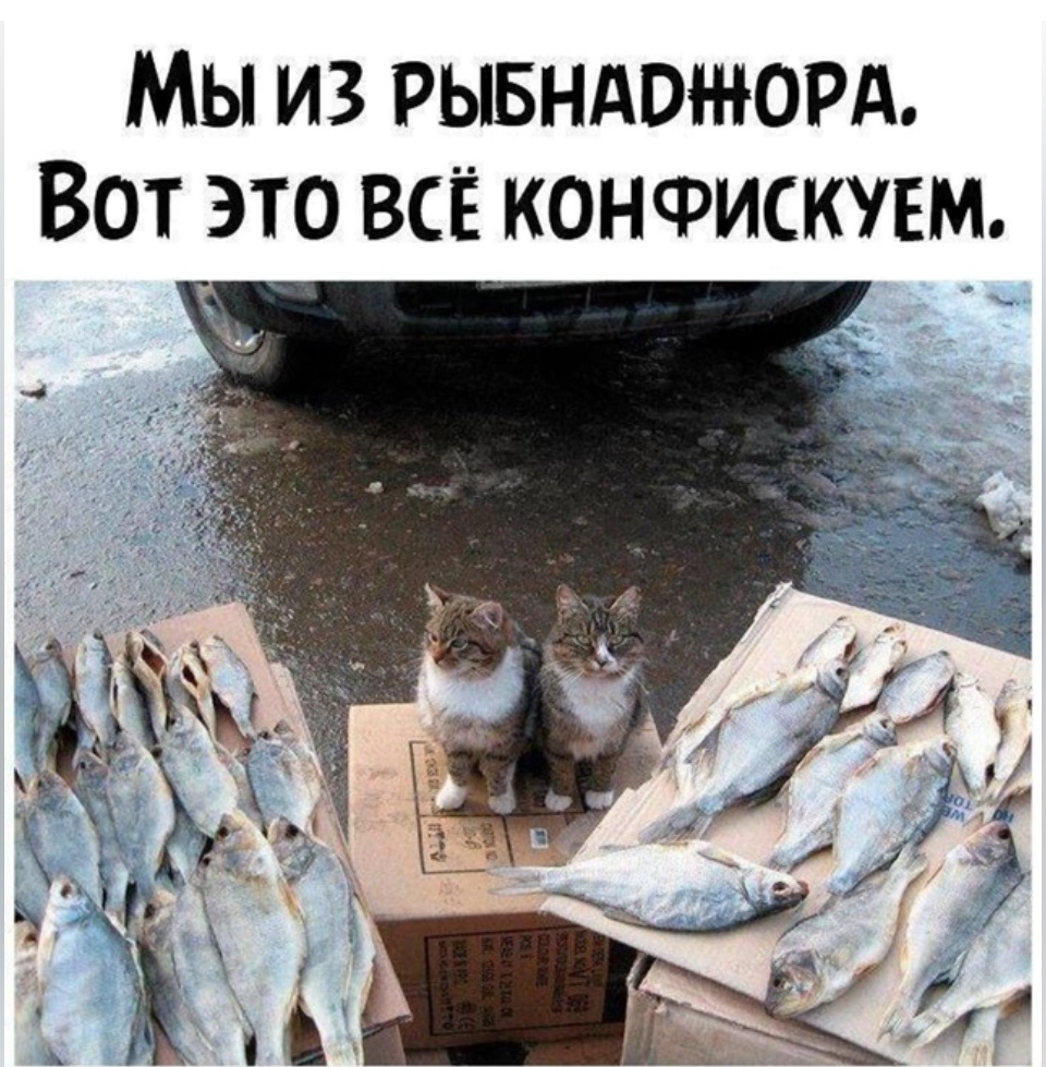 Просто для настроения:). Фото из свободных источников