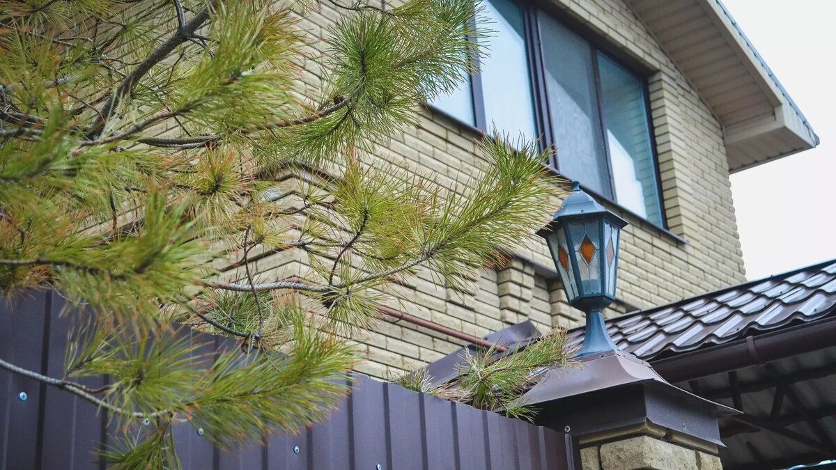     Источник: 1MI