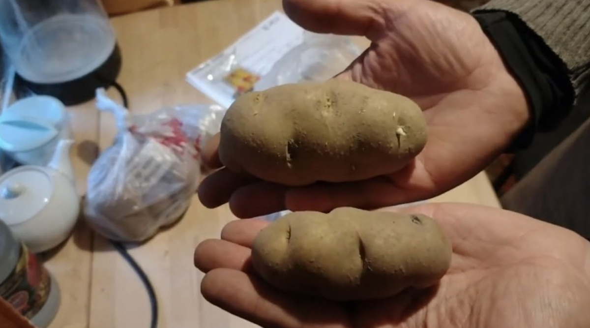 В моих руках Озетт