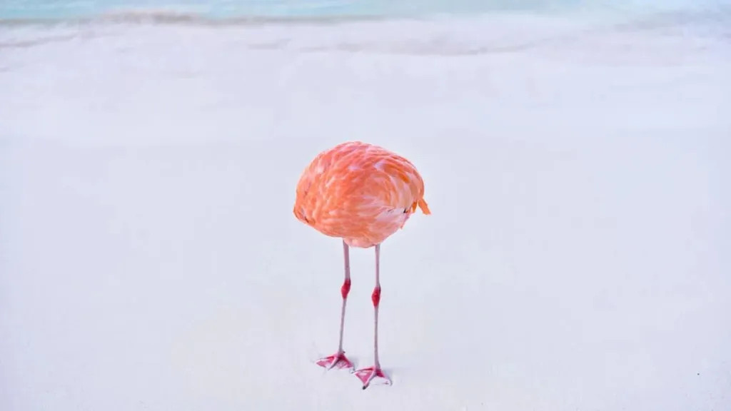 Фотография под названием Flamingone автора Майлза Астрея была представлена на конкурсе 1839 Color Photography Awards.