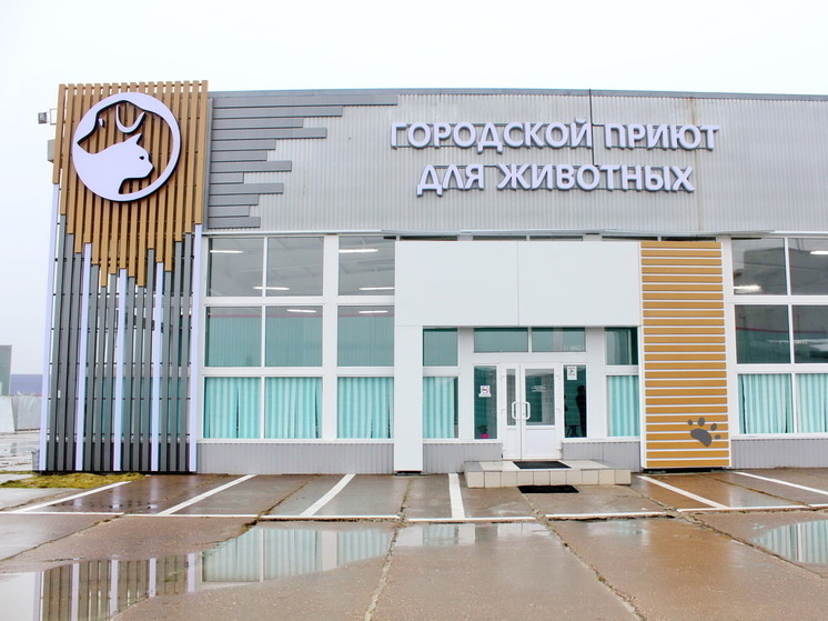     Фото: информационный портал города Ноябрьска «НоябрьскИнформ»