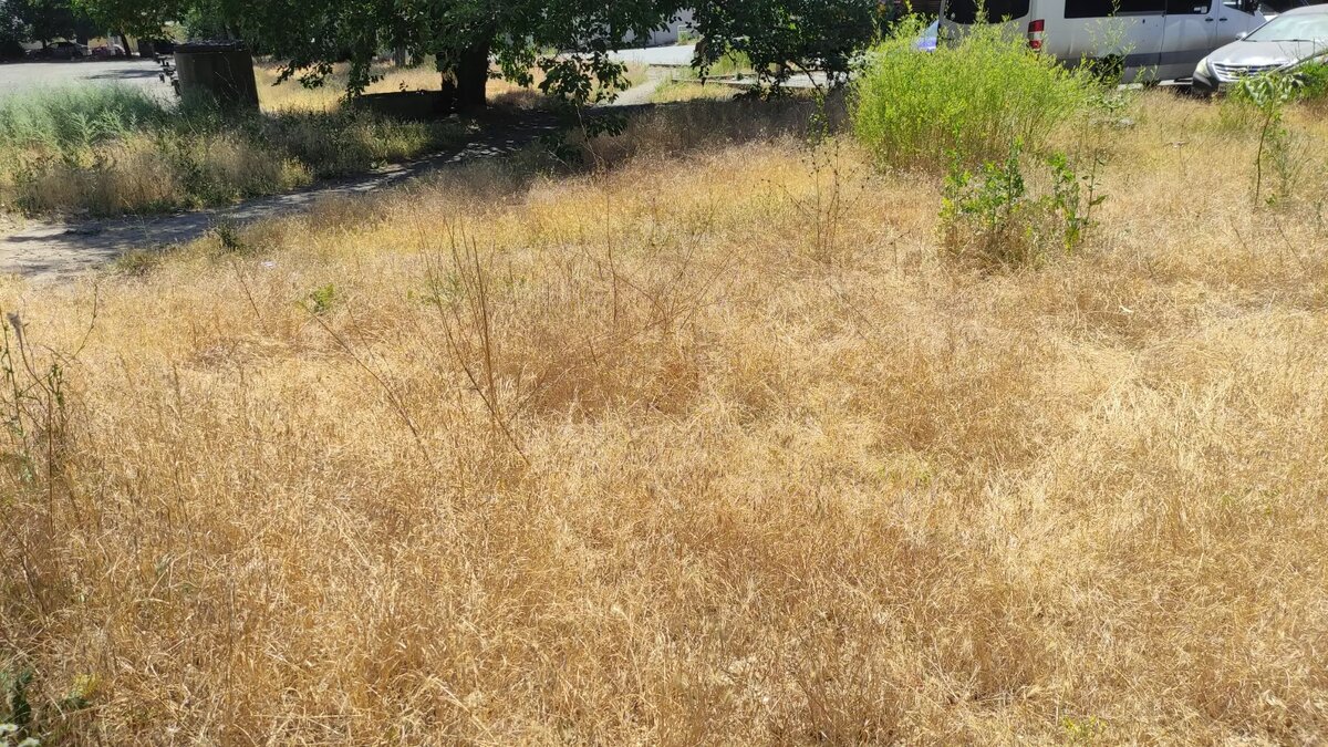     Источник: rostovgazeta.ru