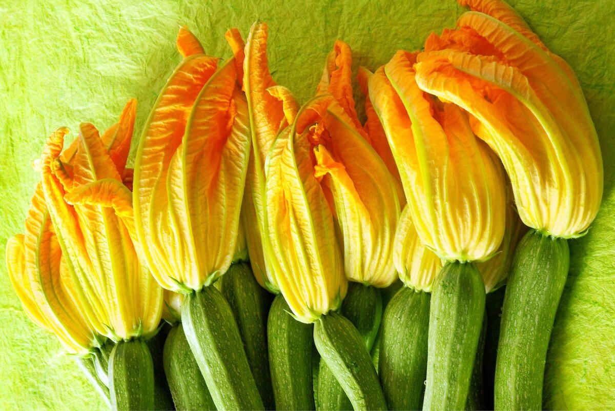 Источник фото: Canva 