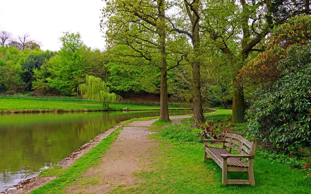 Из открытых источников