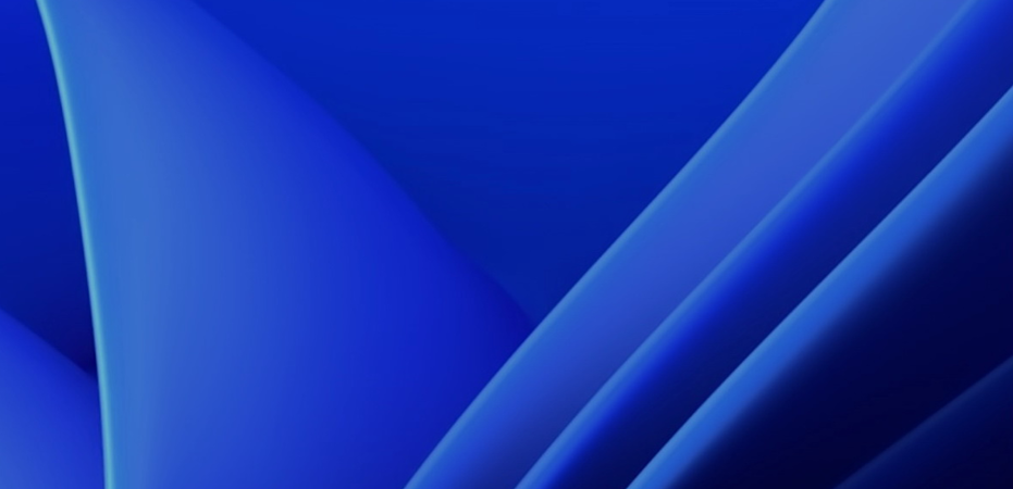    Windows 11