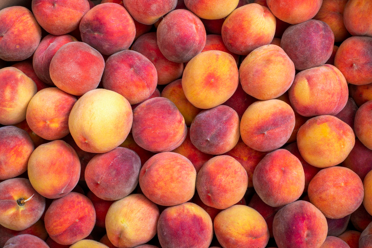 Персики, с их сочной мякотью и нежным ароматом, давно стали символом лета и здорового образа жизни.