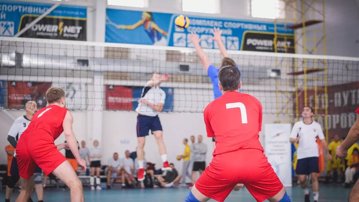     Источник: 1MI