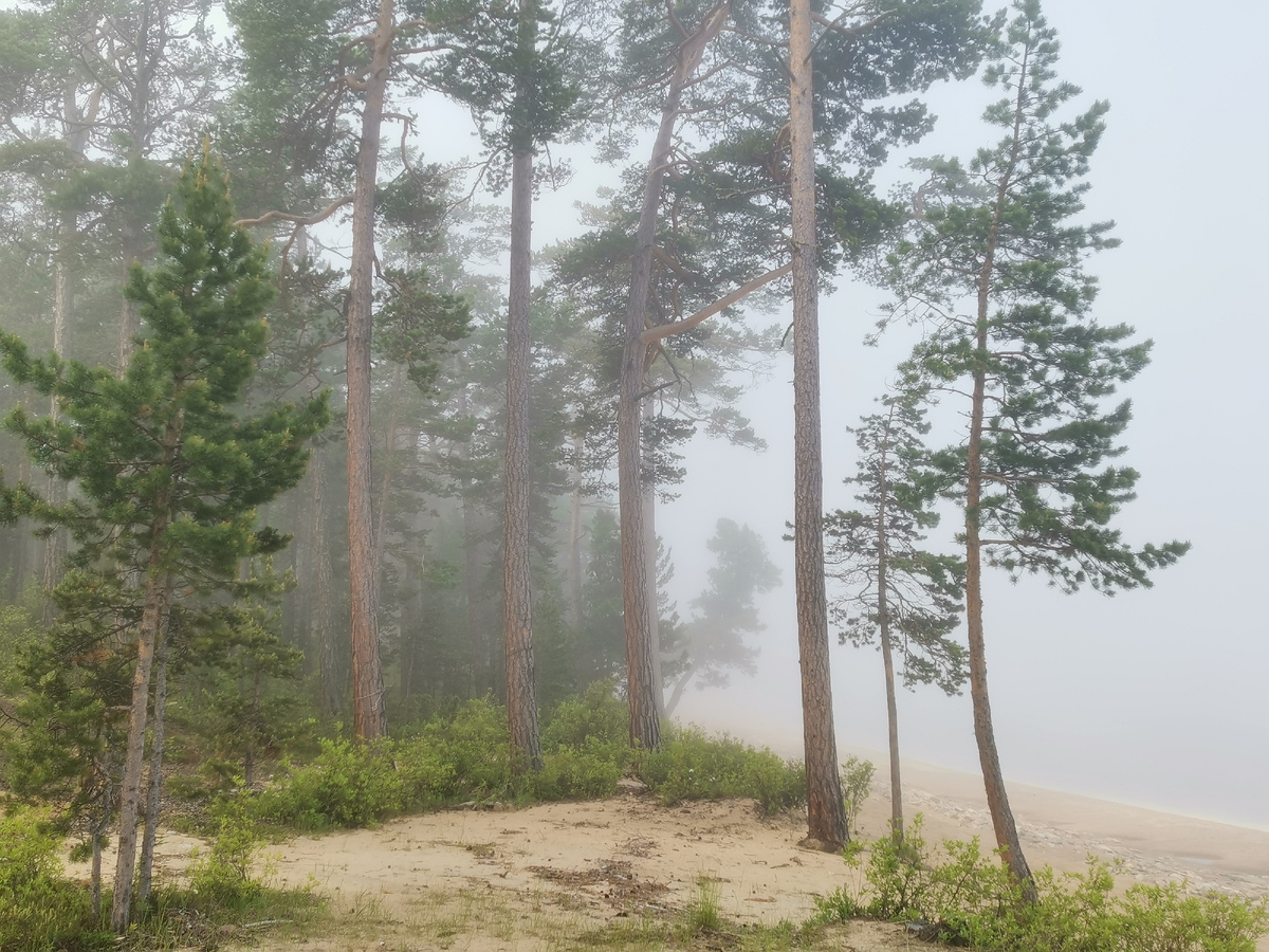 Фото автора канала