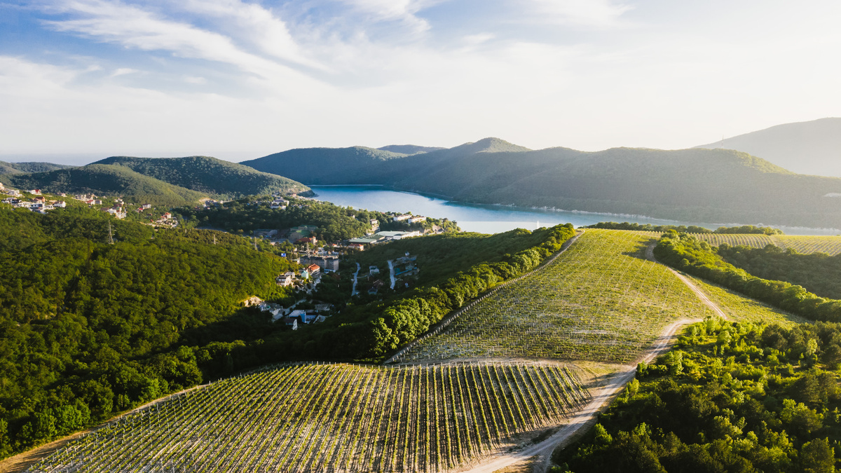 Проспекты с экскурсий в Абрау пестрят потрясающими видами, ожидаешь фонтана эмоций. Фото из сети