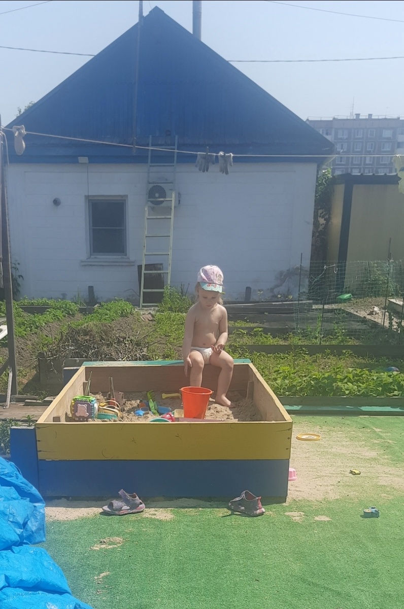 Самостоятельная Алиса.