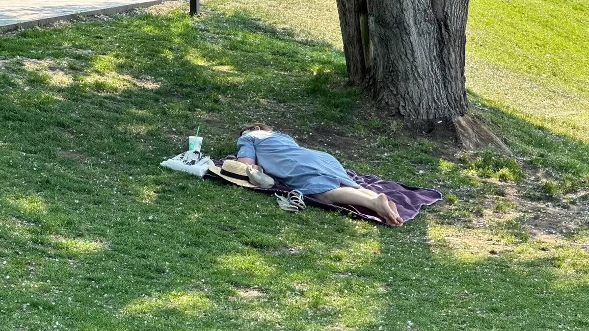     Источник: prmira.ru