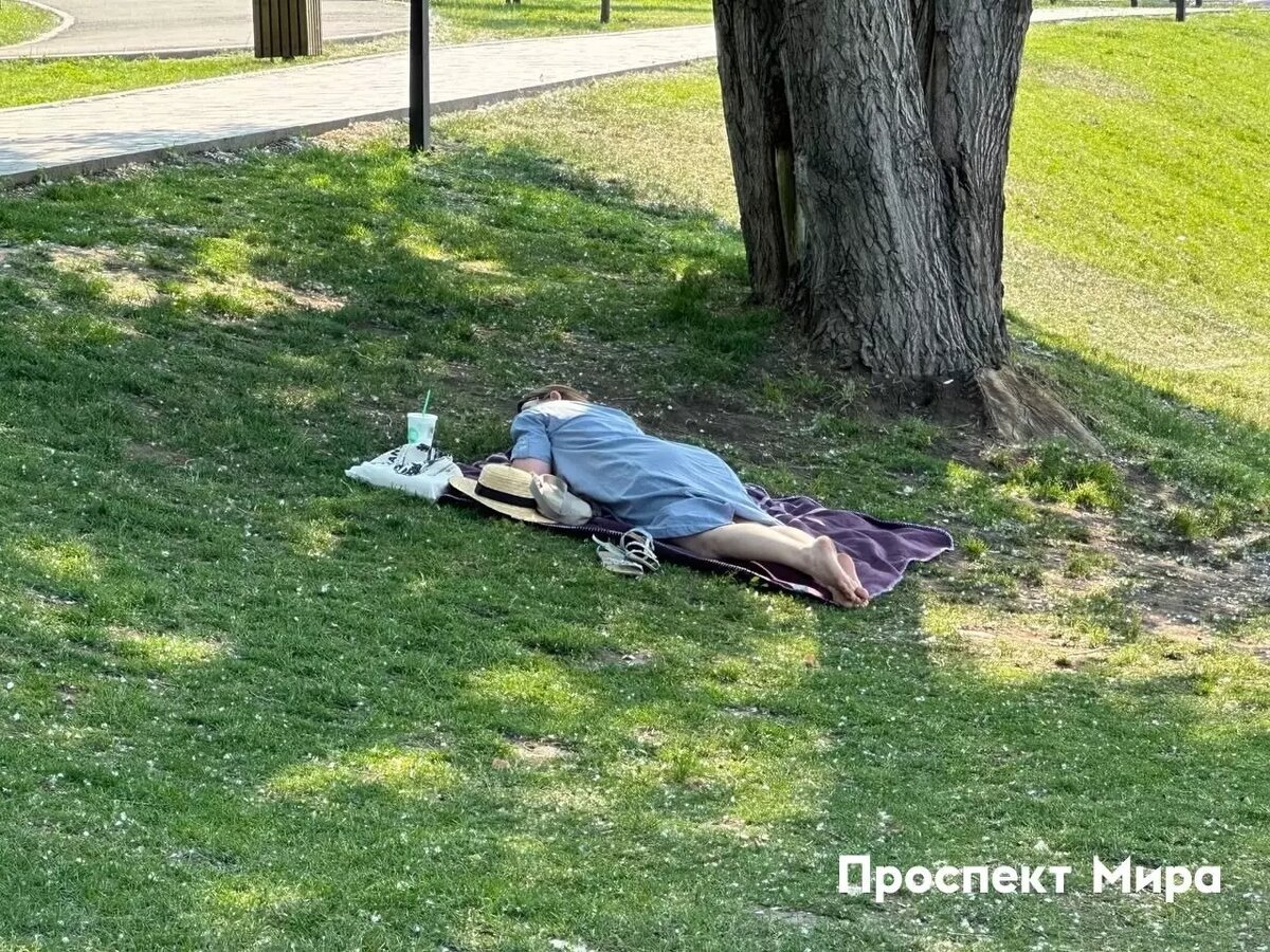     Источник: prmira.ru