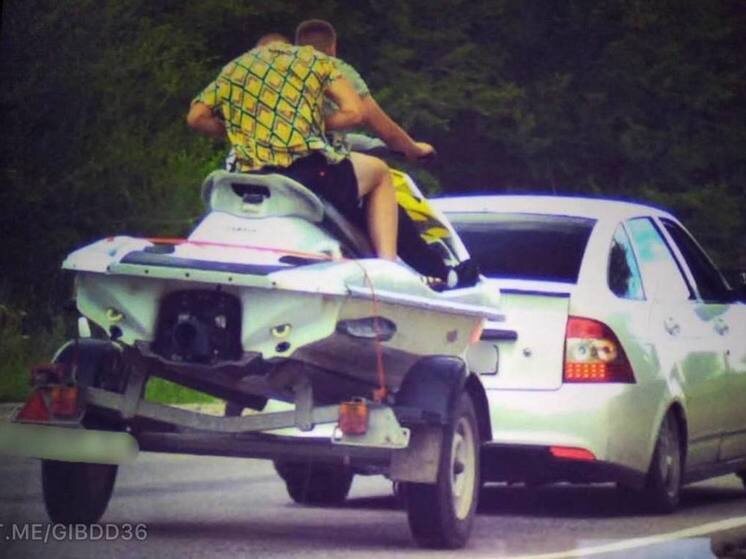     Фото: ГУ МВД по Воронежской области