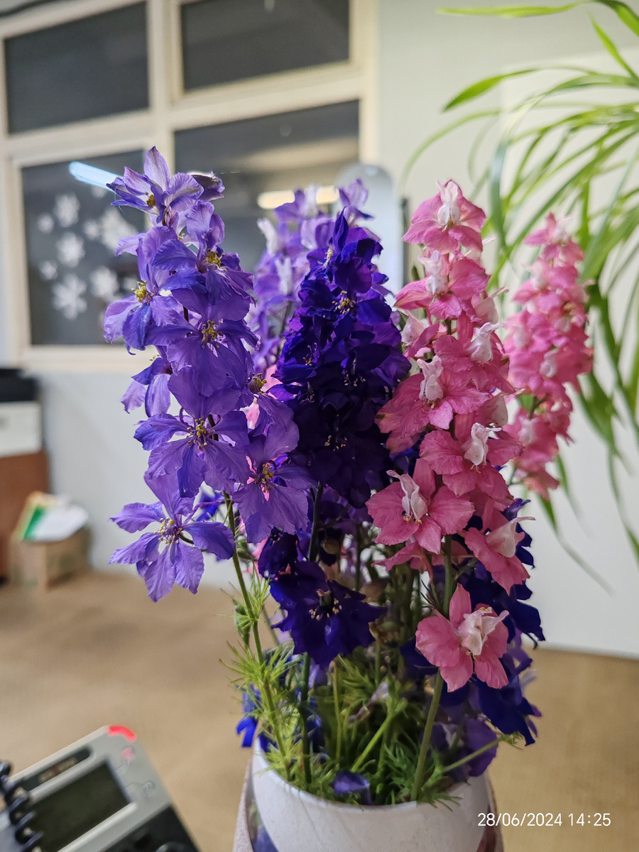 Фото автора канала. 