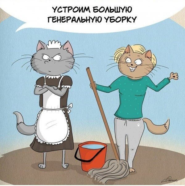 Картинка из открытого источника