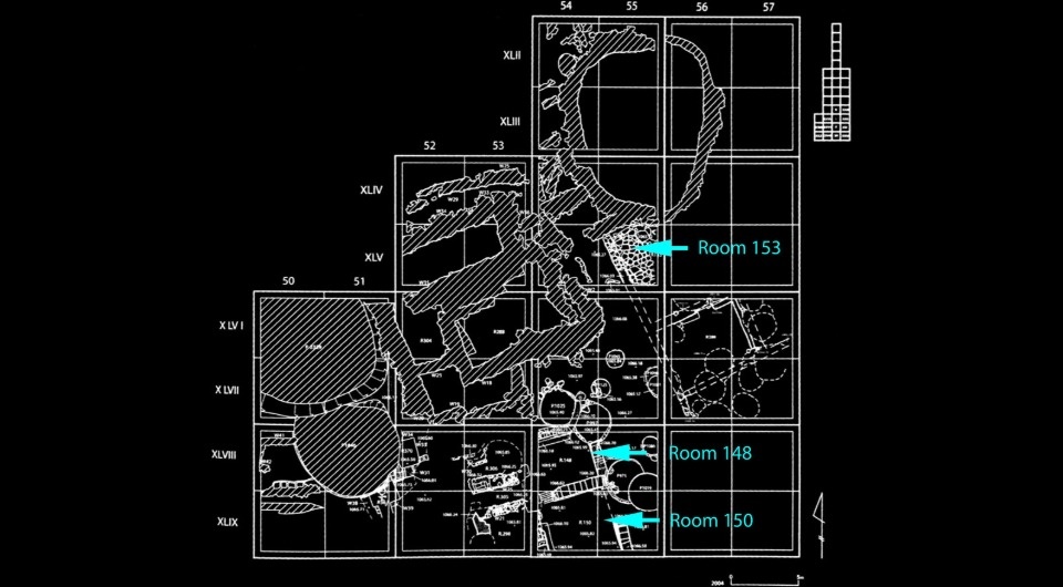   Cheryl Anderson et al. / International Journal of Osteoarchaeology, 2024