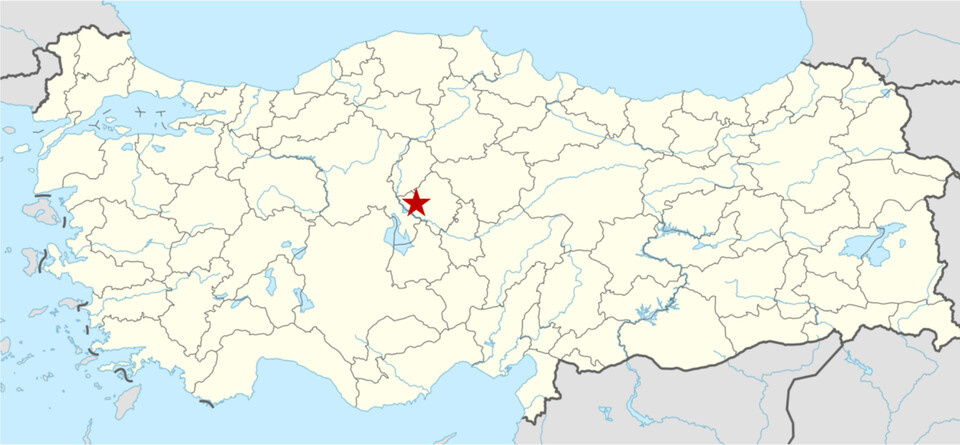   Cheryl Anderson et al. / International Journal of Osteoarchaeology, 2024