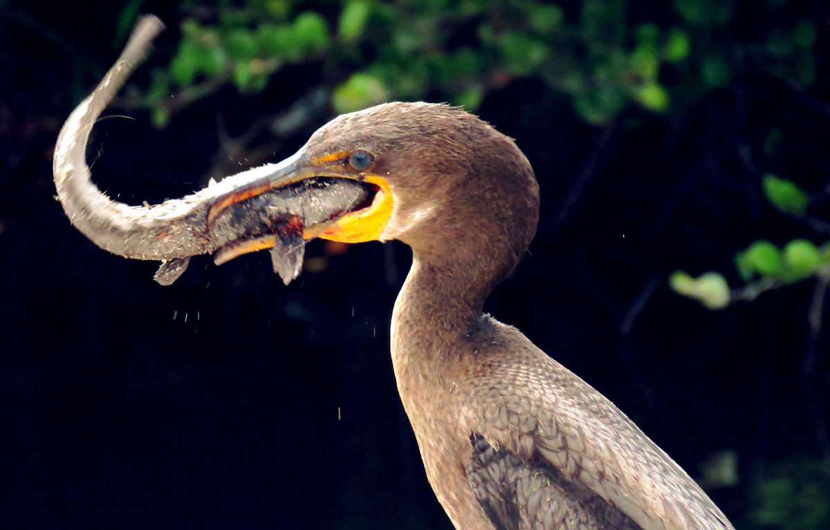 Фото: Max Gotts/Unsplash.com