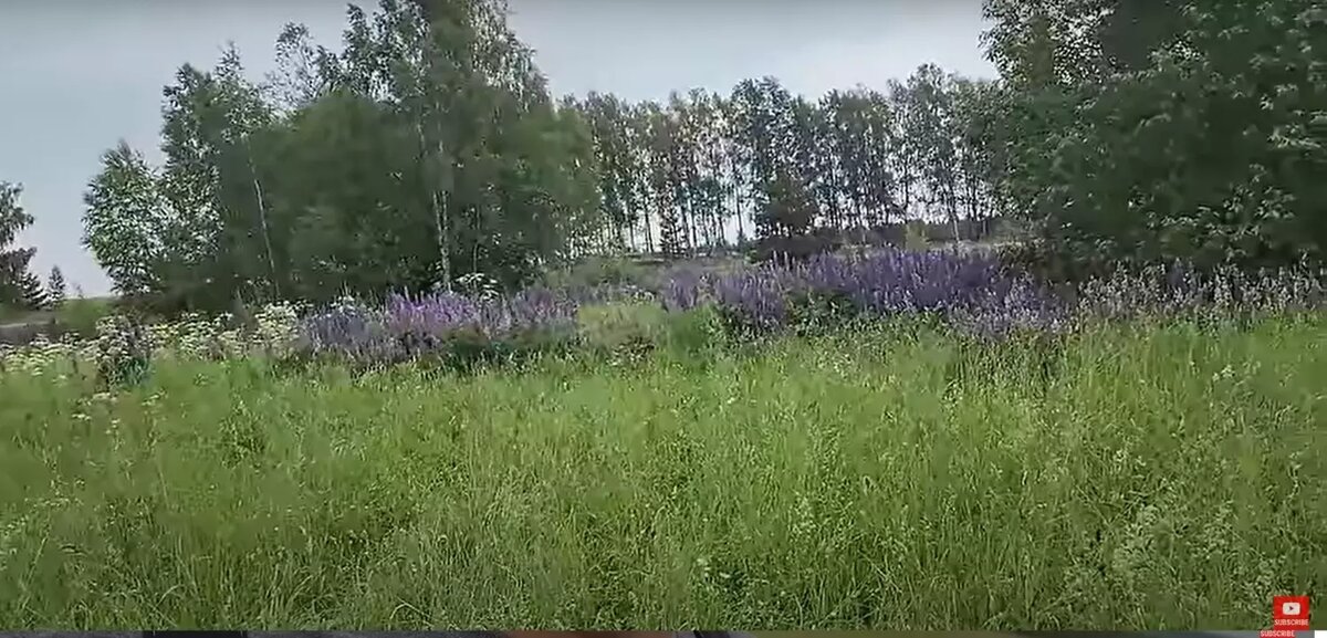     Источник: YouTube-канал «Countryside Acres»