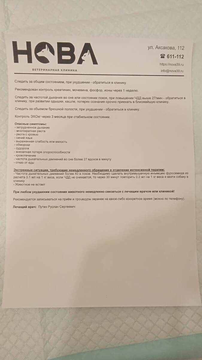 ПЛОХО С СЕРДЦЕМ. Тёму экстренно повезли в клинику 🏥 | Приют в Косме | Дзен