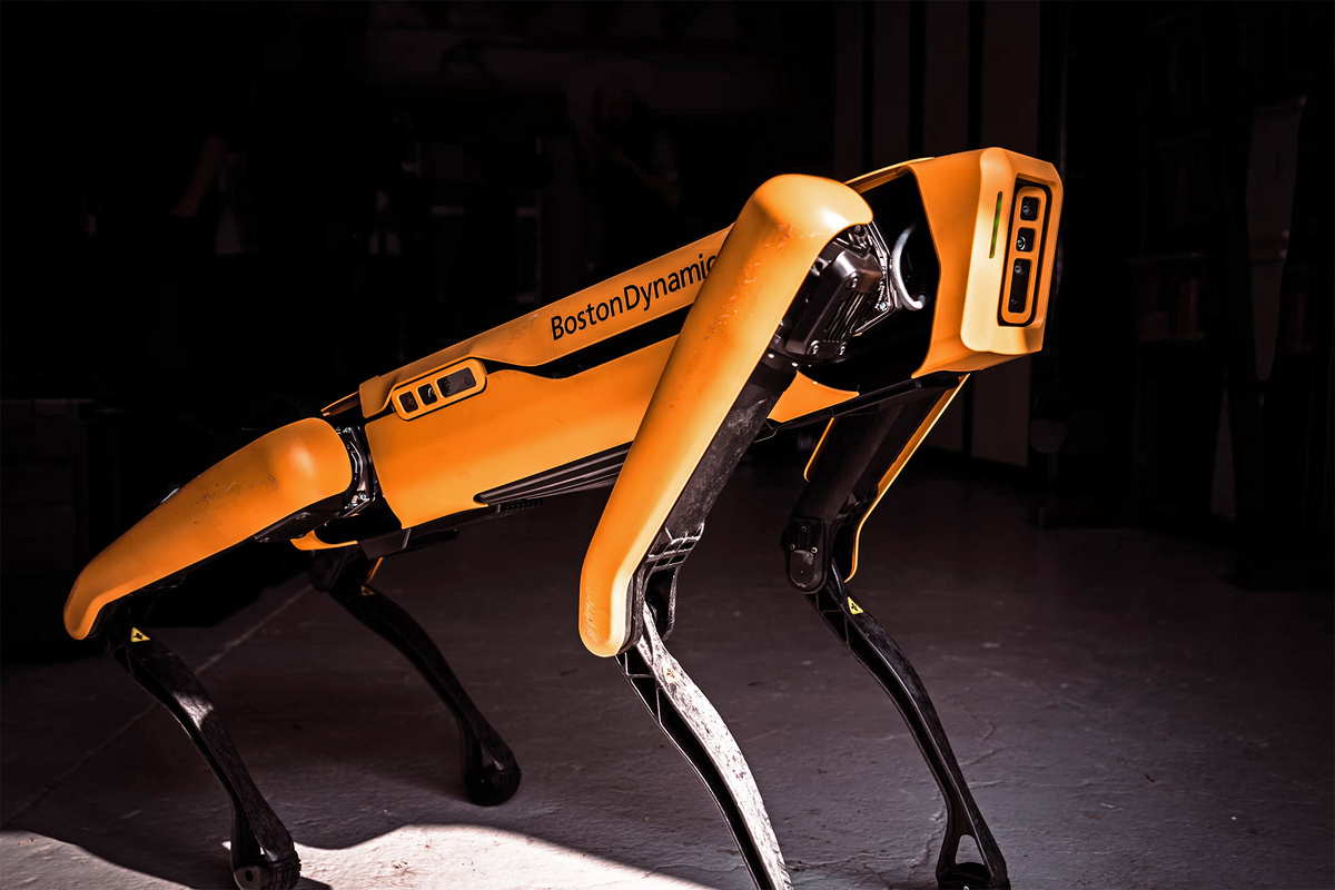 Робособаки от Boston Dynamics известны во всем мире