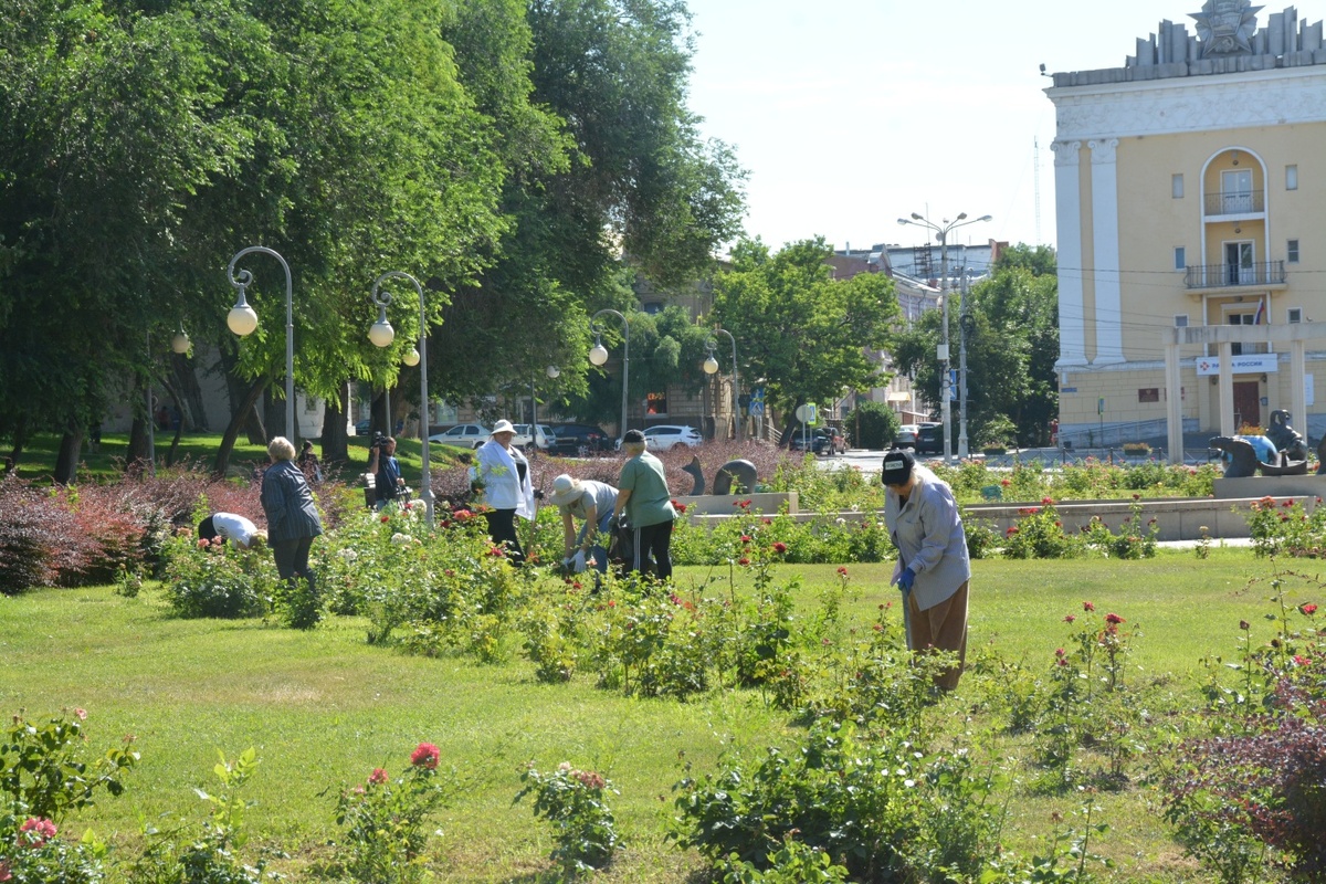 В Астрахани привели в порядок цветники на площади Ленина | PUNKT-A.INFO |  Дзен