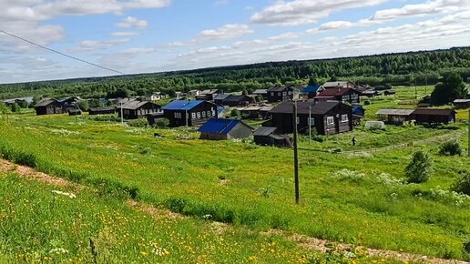 Сегодня будет второй покос во дворе. Тулан лечится травой.