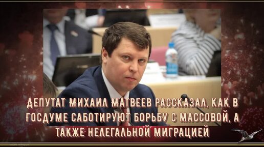 Депутат Михаил Матвеев рассказал, как в Госдуме саботируют борьбу с массовой, а также нелегальной миграцией