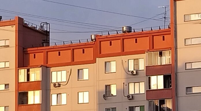    Фото Марины Цурмаст