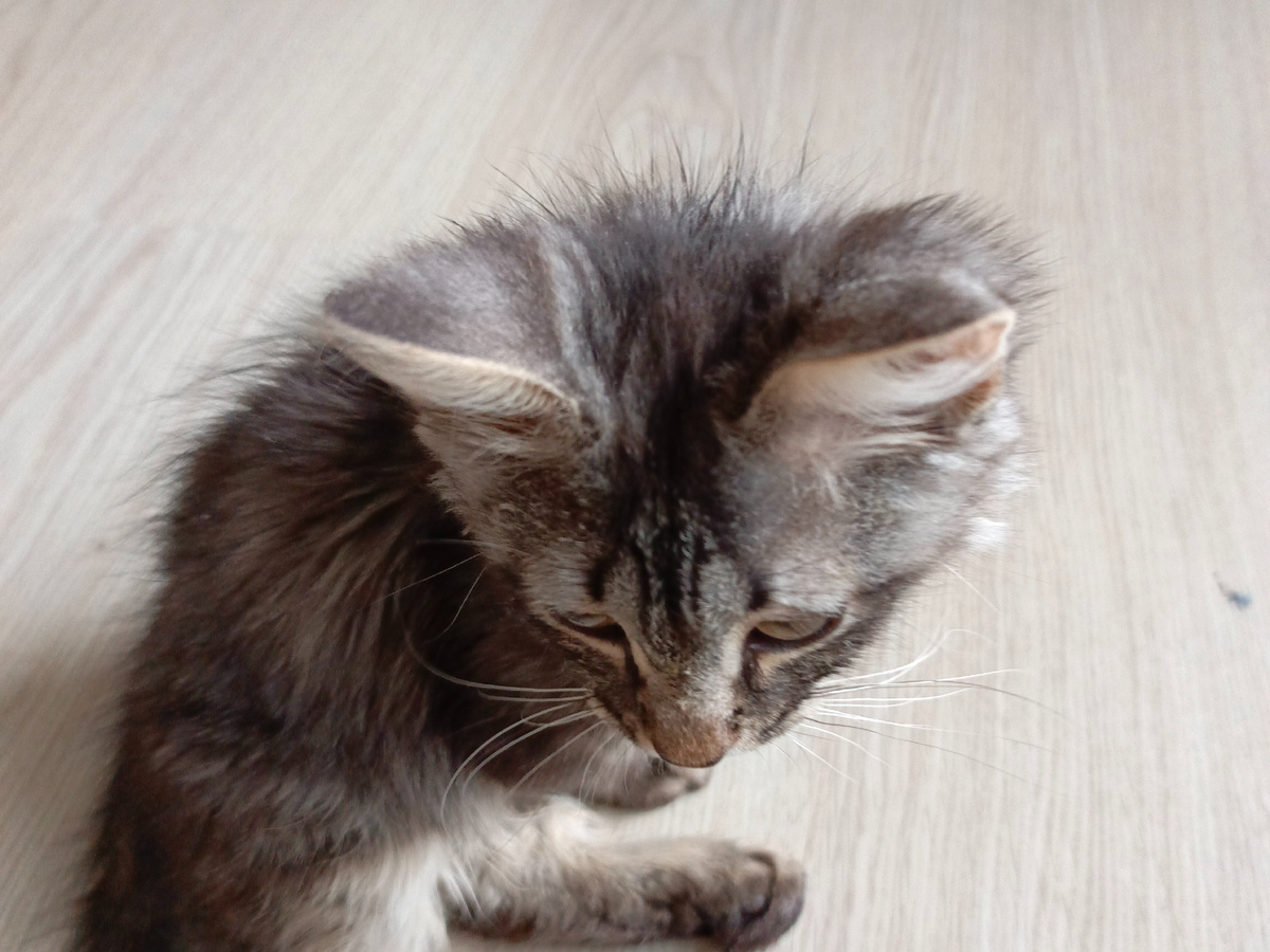 Фото автора.